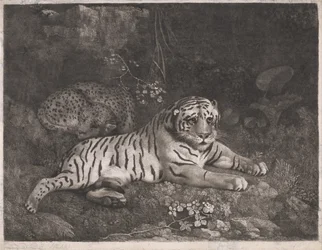 Tygr a spící leopard