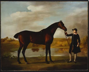 Vévoda z Marlborough