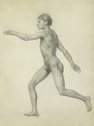 Celá lidská postava zleva, boční pohled, ze série „Srovnávací anatomická expozice stavby lidského těla s tygrem a drůbeží“.
