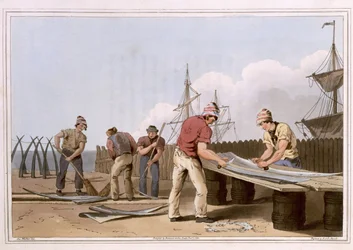 Škrabky z kostic, vyryté Robertem Havellem starším, vydáno 1814 Robinsonem a synem, Leeds