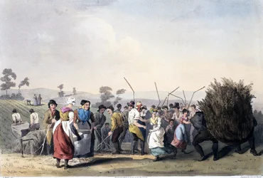 Řepkové mlácení, z Kostýmu Yorkshire vyryto Robertem Havellem (1769-1832) 1814 (ručně kolorovaná akvatinta)
