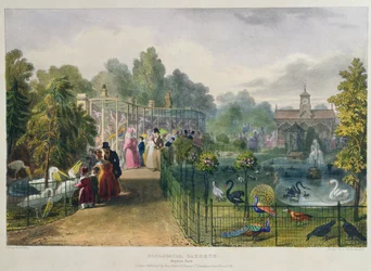 Voliéra v zoologické zahradě, Regents Park, rytina a hospoda. od umělce, tisk Charles Hullmandel (1789-1850), 1836