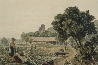 Market Garden v Chelsea