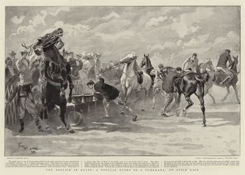 Angličané v Egyptě, populární akce v Gymkhaně, závod jablek