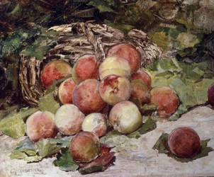 Broskve. Obraz Georgese Jeannina (1841-1925) Soukromá sbírka.