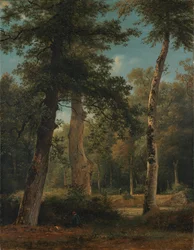 Les ve Fontainebleau
