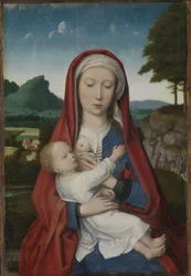 Madonna a dítě, cca 1510-20 (olej na panelu)