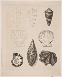 Tabule s šneky