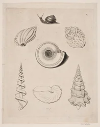 Tabule s šneky