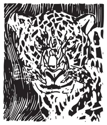Leopardí