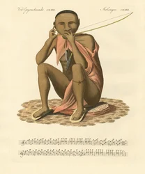 Křovák z Jižní Afriky (barevná rytina)