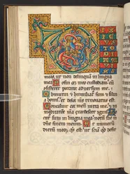 Přidat. 60629, f.43v Velké orámované iniciály ve zlatě a barvách s listovým a někdy zoomorfním a antropomorfním ornamentem (vellum)