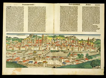 Pohled z ptačí perspektivy na Ratisbon, z Norimberské kroniky od Hartmanna Schedela (1440-1514) 1493