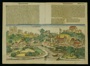 Pohled na Salzburg z ptačí perspektivy z Norimberské kroniky od Hartmanna Schedela (1440-1514) 1493
