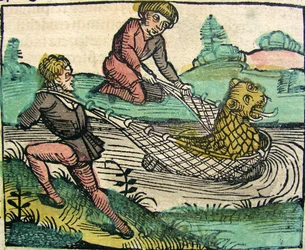 Catching a Lion Cat fish Monster publikované v Norimberské kronice, 1493