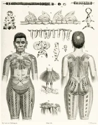 Diagram zobrazující polynéské šperky, ozdoby a návrhy tetování, 1888
