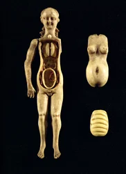 Panenka zobrazující anatomii lidského těla