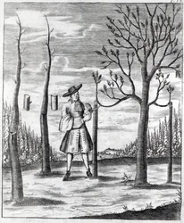 Gardening and Plant Maladies, ilustrace z „Neue Garten-lust“ od Heinricha Hesse, 1696