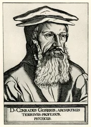 Konrád Gesner