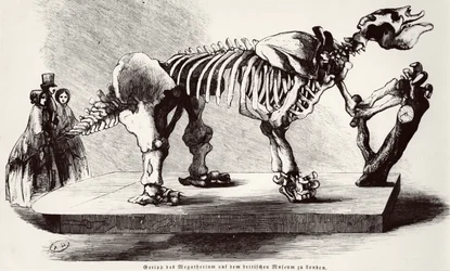 Megatherium Skeleton v Britském muzeu