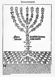 Menorah, z Liber Chronicarum od Hartmanna Schedela, vydané v Norimberku, 1493