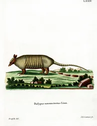 Závěsný
