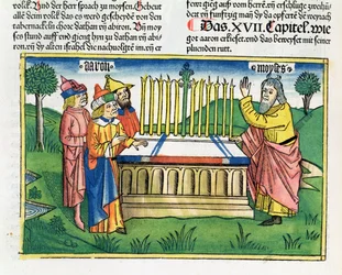 Numeri 17 1-11 Áronova hůl rozkvétá na oltáři, z Norimberské bible (Biblia Sacra Germanaica) (kolorovaný dřevoryt)
