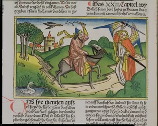 Čísla 22 20-35 Balaams mluvící osel, z norimberské bible (Biblia Sacra Germanaica) (barevný dřevoryt)