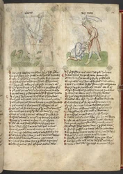 Sloane 361, f.26 Umučení Izaiášova; Král Moab obětuje svého syna ze „Speculum Humanae Salvation“ (inkoust a barva na pergamenu)
