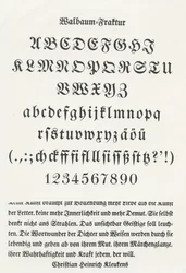 Walbaumova zlomenina