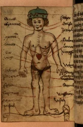 Diagram zvěrokruhu zobrazující polohu srdce ze sbírky modliteb a astrologických postav