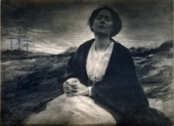 Dědictví mateřství, 190004 (platinový tisk s několika doplňky ručně)