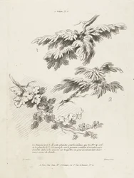 Studie tří větví s listy 1er Cahier de paysage (název série)