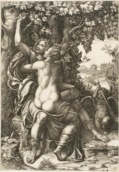 Angelika a Medoro