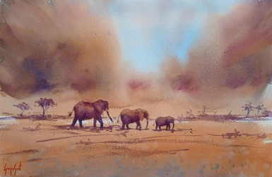 Cesta afrického slona