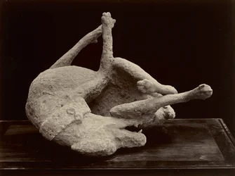 Pes, Pompeje, kolem roku 1870