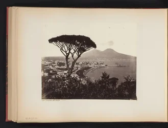 Pohled na Neapol, Itálie, s borovicí v popředí Panorama údolí Vomero Napoli (název na objektu)