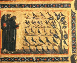 Příběhy svatého Františka: svatý František káže ptákům, freska od Giotta (1267-1337), kolem roku 1325. Kaple Bardi ve Verniu, bazilika Santa Croce, Florencie, Itálie