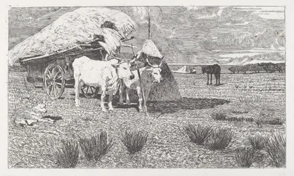 Voli zapřaženi do povozu (Maremma) [Bovi al carro (Maremma)]