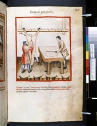 Theatrum sanitatis od Ububchasym de Baldach: "Adeps et Pinguedo", první desetiletí 14. století (miniatura)