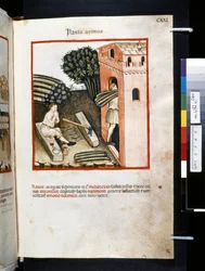 Theatrum sanitatis, Ububchasym de Baldach: "Panis Azimus", první desetiletí 14. století (miniatura)