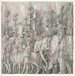 The Triumphs of Caesar: The Elephants