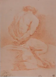 Satyr (pohled zezadu)