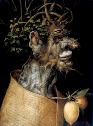 Zima, 1563