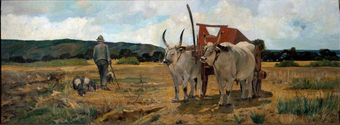 Krajina v Maremmě (olej na plátně