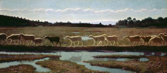 Zrcadlo života: co udělá první, ostatní následují, 1895-98