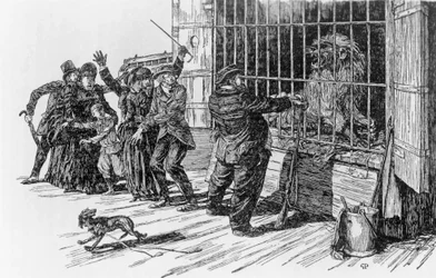 Tartarin a lví klec, ilustrace k Tartarinovi v Alpách od Alphonse Daudeta Milana