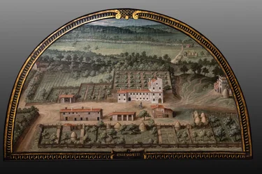 medicejská vila Collesalvetti