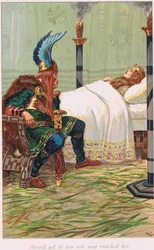 Harald seděl po jejím boku a pozoroval ji, ilustrace z knihy 
