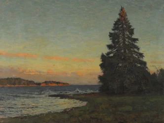 Jedle